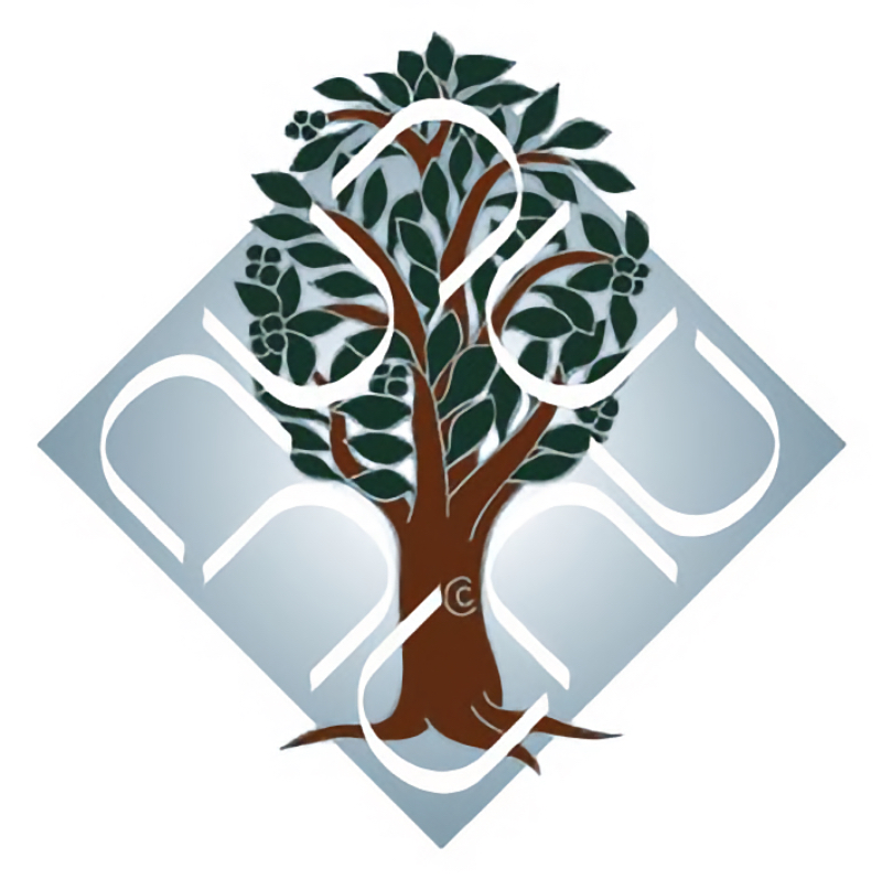 Ambedkar University Delhi logo