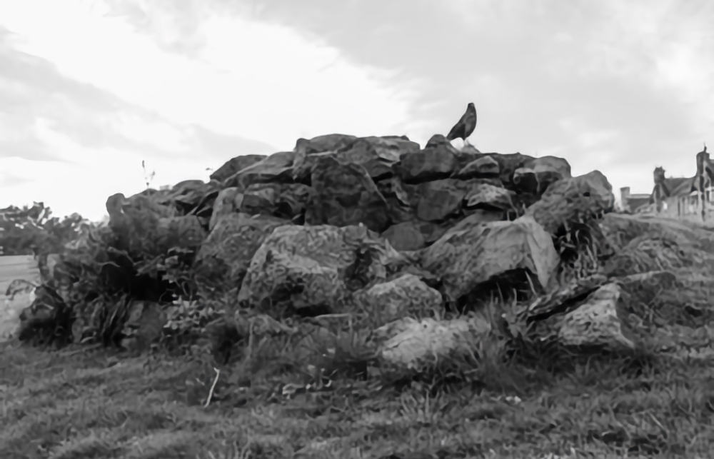 Maggies Cairn Crow